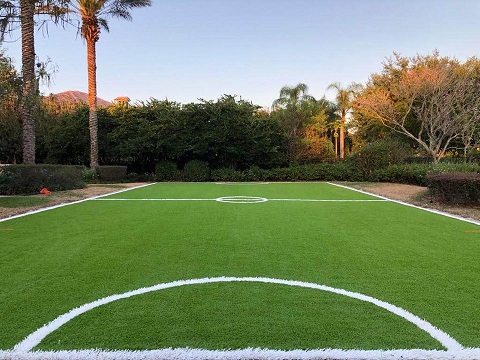 ARTIFICIAL GRASS PROS OF TAMPA BAY