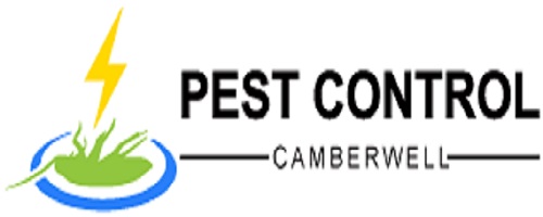 Pest Control Camberwell