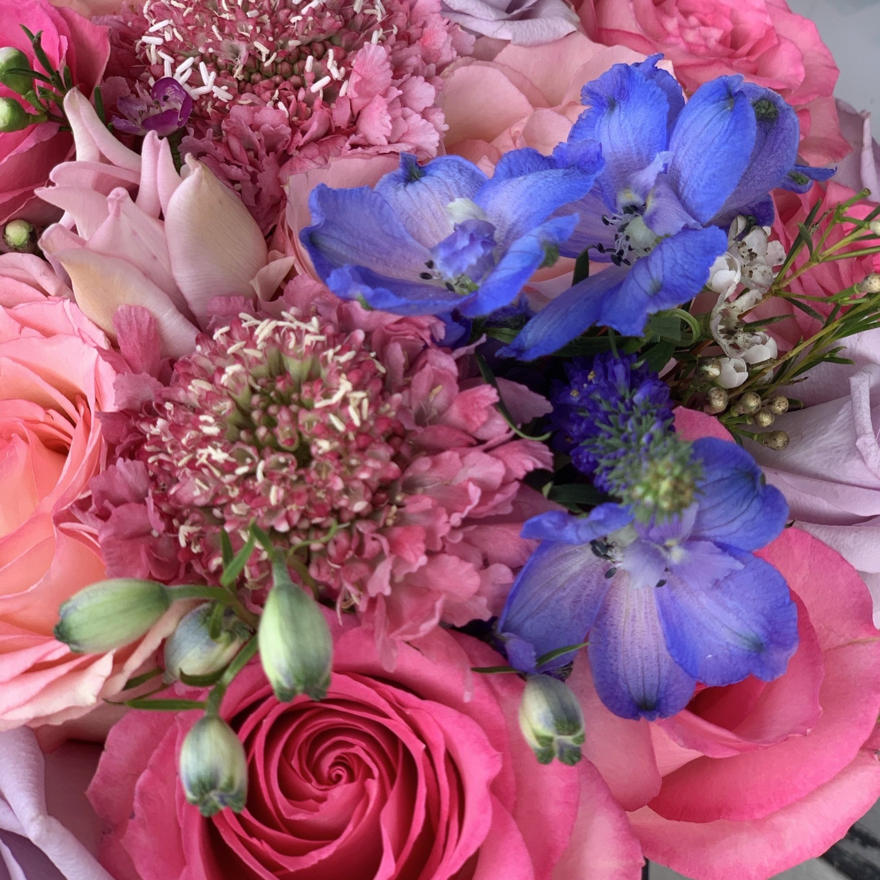 Andrea with Pink, Purple Roses & Tulips Flower Arrangement