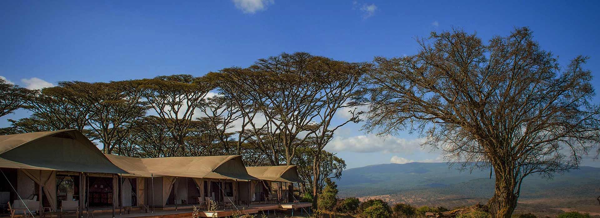 Budget Camping Safaris in Tanzania