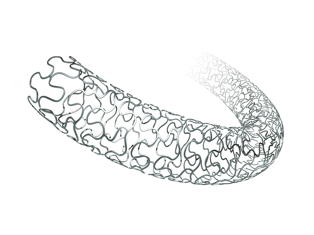 Nano+™ Polymer-free Sirolimus-eluting Coronary Stent System