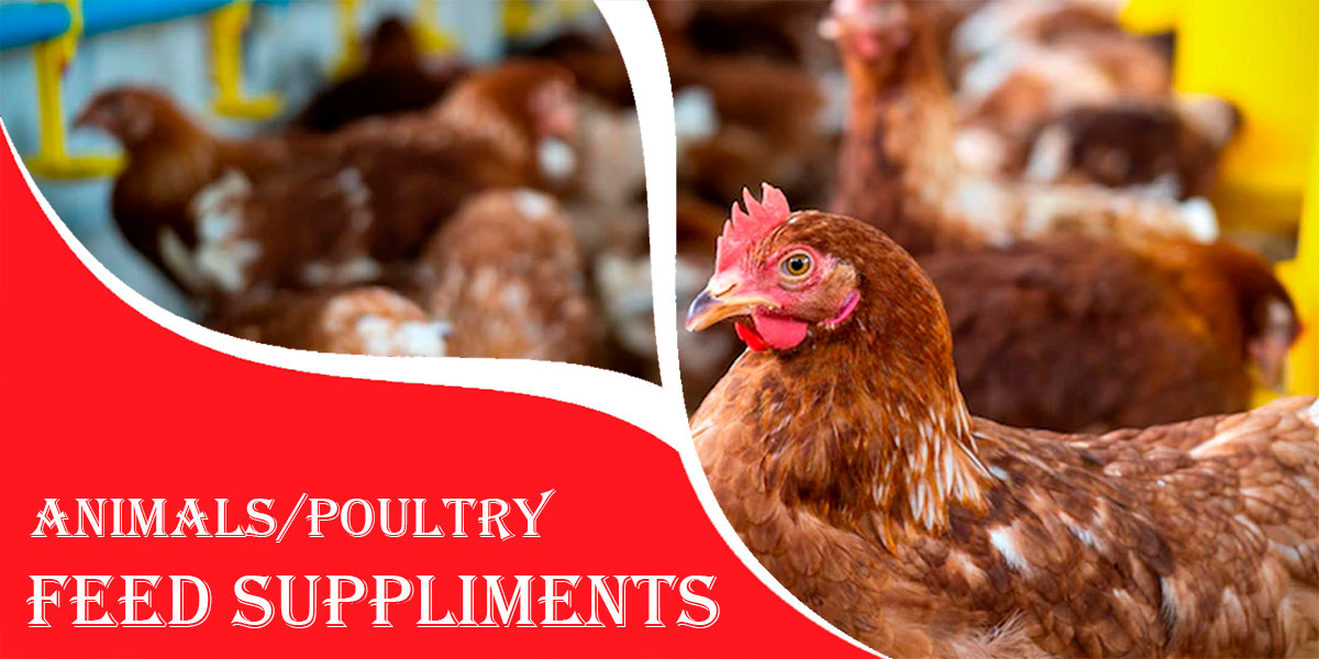 Poultry Feed Supplement