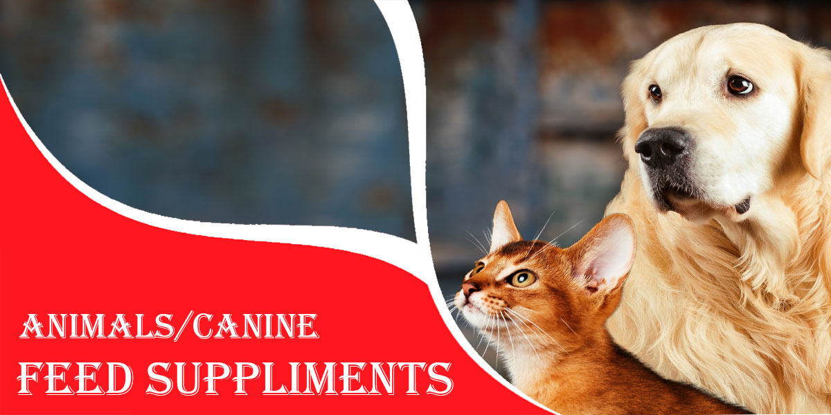 Canine Feed Supplement