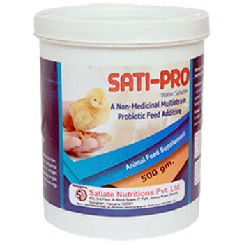 Sati-pro