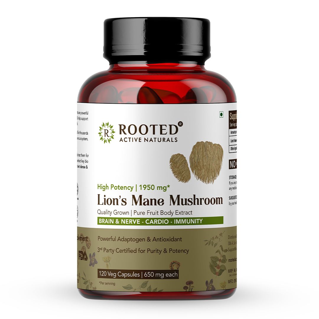 Lions Mane Mushroom Extract