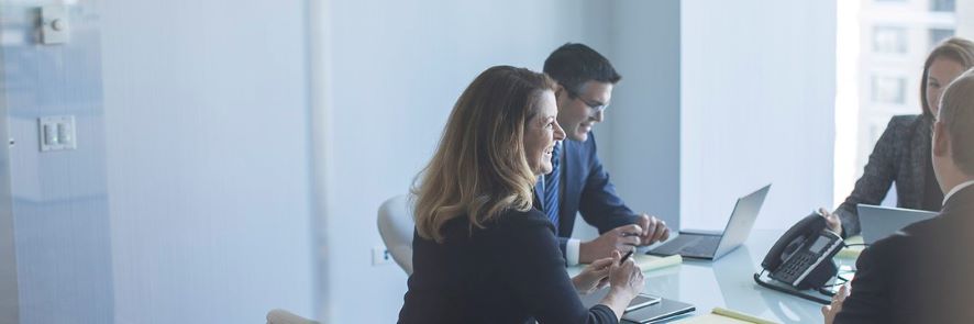 Adviseurs voor financiële en kapitaalinvesteringen