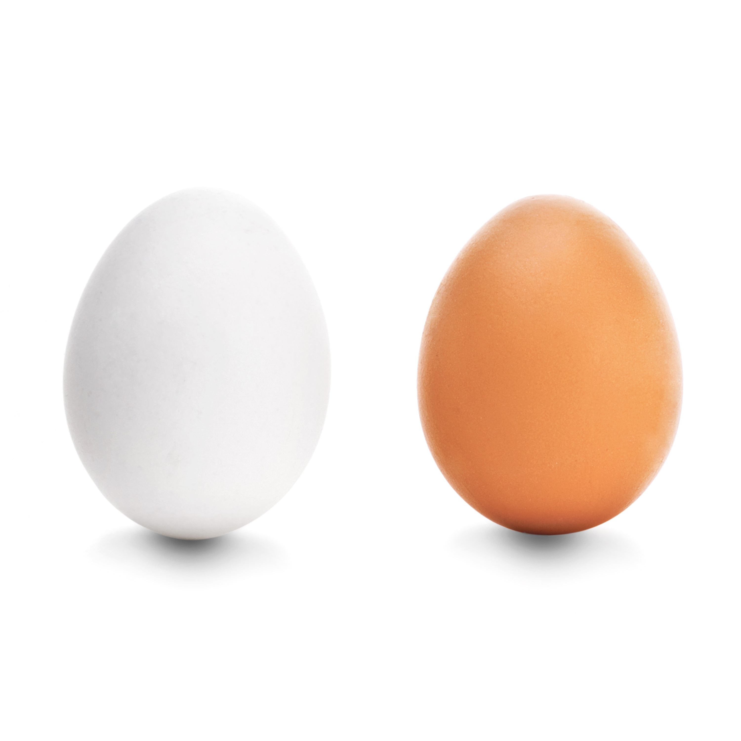 Skil van eiers