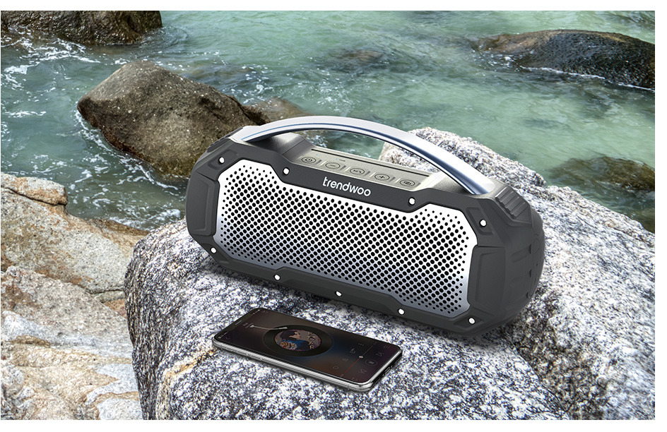 Titan-L outdoor speaker