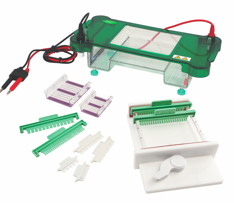 Horizontal Electrophoresis Tank Model: JY-SPFT