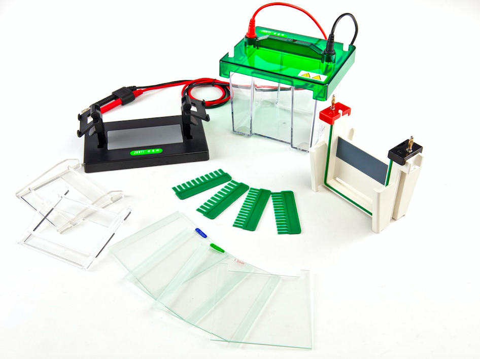 Vertical Electrophoresis Tank Model: JY-SCZ2+