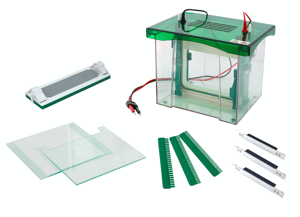 Vertical Electrophoresis Tank Model: JY-CZ-BL